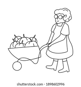Elderly woman pumpkin wheelbarrow vector illustration.