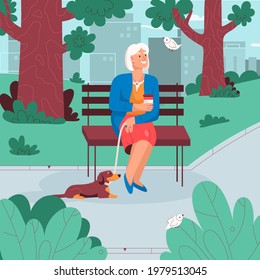Elderly woman sitting on bench, resting in city park, looking at birds, walking dog. Old lady outdoors activity, retired people pastime and healthy lifestyle concept. Vector character illustration