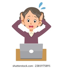 An elderly woman troubled by laptop troubles
