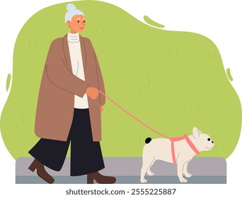 Elderly woman walking a dog. French bulldog. Flar vector illustration.