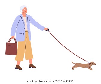 Elderly woman walking with a dog. Old lady with grey hair. Recreation, entertainment of a pensioner, retiree. Spending time outdoors. Flat vector illustration.
