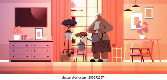 elderly woman watering flowers from watering can senior housewife taking care of house plants living room interior