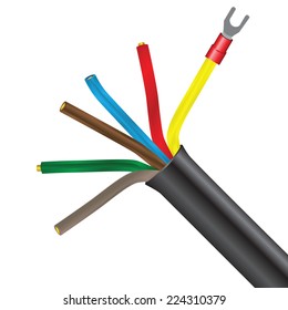 Electric cable of six internal wires filled Terminal Spade. Vector illustration.