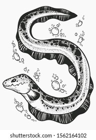 Electric eel. Isolated vector illustration on white background.
