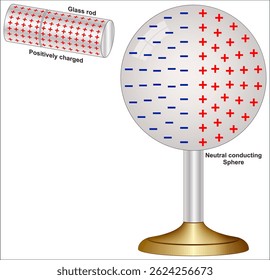 Um campo elétrico é criado em torno de qualquer partícula ou objeto que tenha uma carga elétrica positiva ou negativa geral.