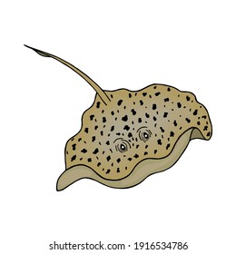  Electric Stingray is a sea animal. Vector stock illustration eps10. Isolate on white background