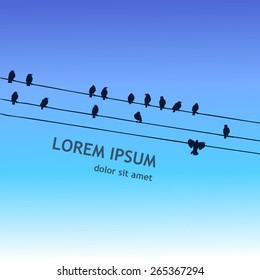 electric wires and birds in the sky