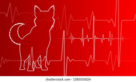 Electrocardiogram of a dog on a red background. Treatment of Pets.