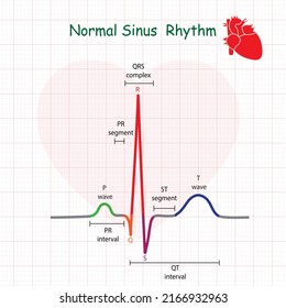 Electrocardiogram show normal heart beat line (Sinus rhythm). ECG. EKG. Vital sign. Medical healthcare symbol.