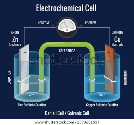 Electrochemical cell with voltmeter. Diagram of galvanic cell showing anode and cathode. Chemical energy change into electrical energy. Scientific vector illustration isolated on white background