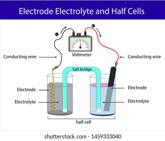 Electrode electrolyte and half cell. chemistry lesson electrode topic