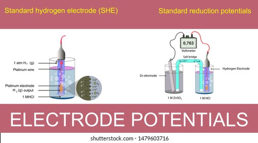electrode potentials. standard hydrogen electrode. standard reduction electrode. chemistry course topics