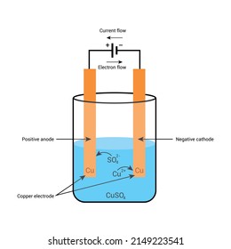 Electrolysis In Chemistry Vector Illustration Isolated On White Background