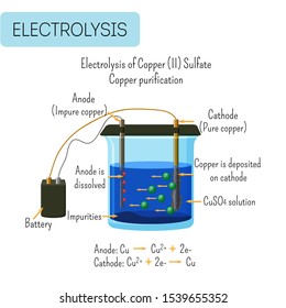 Electrolysis of copper sulfate solution with impure copper anode and pure copper cathode. Copper purification technology. Educational electrochemistry for kids. Vector illustration.