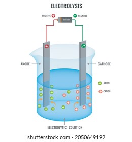 Electrolysis of electrolyte solution vector illustration. Simple electrolysis process of an electrolyte. 
