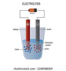 Electrolysis of electrolyte solution vector illustration. Simple electrolysis process of an electrolyte.