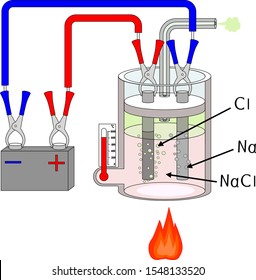 Electrolysis of molten sodium chloride