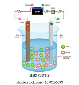 Electrolysis process vector illustration. Simple electrolysis process of an electrolyte. 