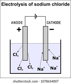 Electrolysis Of Sodium Chloride