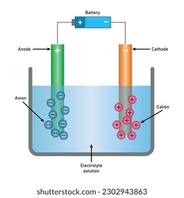 Electrolysis of water diagram. Battery, anode, cathode, cation, anion and electrolyte solution. Physics resources for teacher and students. Vector illustration isolated on white background.