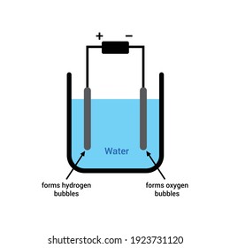 Electrolysis Of Water Diagram Vector