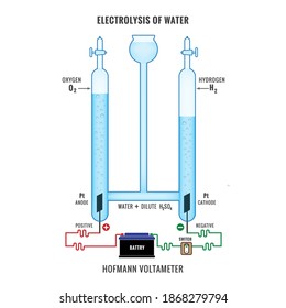 Electrolysis of Water. Labeled diagram to show the electrolysis of acidified water forming hydrogen and oxygen gases. Electrolysis of Water in Hofmann Voltameter. 