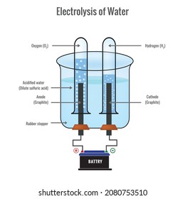 Electrolysis of Water. Labeled diagram to show the electrolysis of acidified water forming hydrogen and oxygen gases. Electrolysis of Water in Voltameter. 