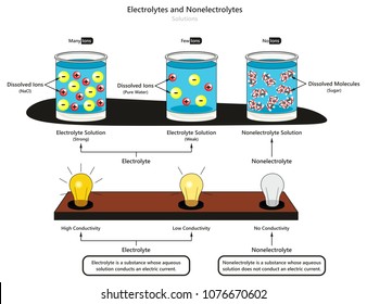 Electrolyte And Nonelectrolyte Solutions Infographic Diagram Showing Type Of Electrolytes Weak And Strong Also Comparison Of Conductivity And Dissolved Substances For Chemistry Science Education