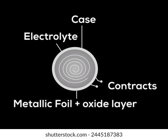 Electrolytic Capacitor | Physics Capacitor | polarized capacitor 