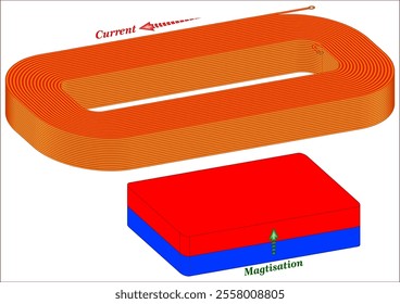 Electromagnetic Force Acting Between a Coil and a Magnet