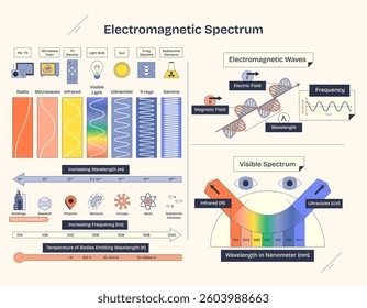 Electromagnetic spectrum diagram shows waves, frequency, and visible light spectrum. Neubrutalism style diagram.