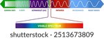 The electromagnetic spectrum  diagram. Vector color illustration.