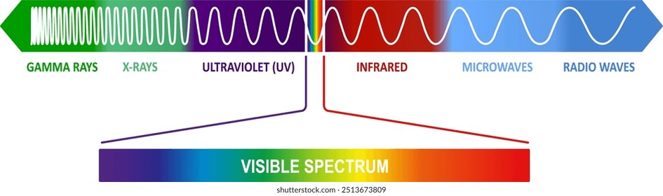 El diagrama del espectro electromagnético. Ilustración de color de Vector.