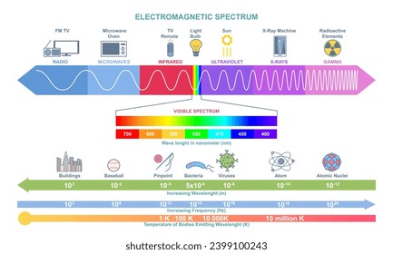 Infografía del espectro electromagnético. Afiche educativo de física. Diagrama de la estructura ondulada, longitud de onda, frecuencia y temperatura. Dibujo vectorial plano de dibujos animados sobre fondo blanco