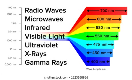 Electromagnetic Spectrum Information Scheme Vector. Radio Waves And Microwaves, Infrared And Visible Light, Ultraviolet, X-rays And Gamma Rays Electromagnetic Structure. Illustration