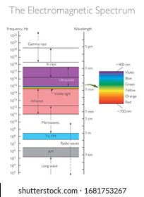 The Electromagnetic Spectrum / Physics Vector Illustration