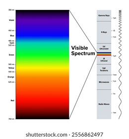 Electromagnetic spectrum and separately highlighted the visible spectrum. Diagram of electromagnetic radiation, organized by wavelength in meters, and the colors of the visible light in nanometers.