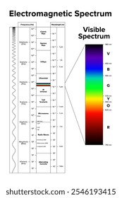 Electromagnetic spectrum and its visible spectrum highlighted separately. Diagram of the full range of electromagnetic radiation, organized by frequency in Hertz and wavelength in meters. Vector.