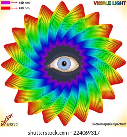 Electromagnetic Spectrum - Visible Light