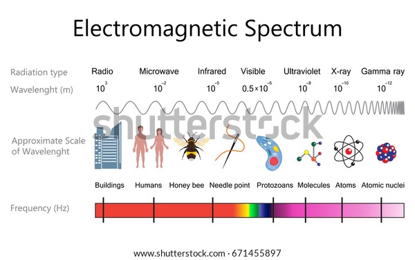 Electromagnetic spectrum and wavelengths diagram.\
Vector illustration flat\
design