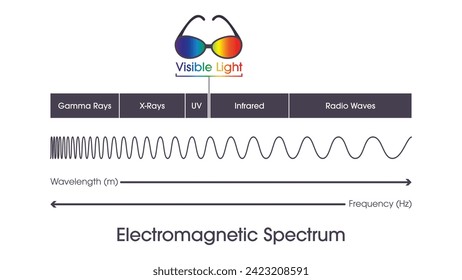 elektromagnetische Wellenlängen und Frequenzen, Vektorgrafik