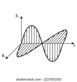 Electromagnetic wave. Electric field and magnetic field oscillation. Wave propagation. Scientific vector illustration isolated on white background.