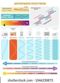 Electromagnetic Waves: Microwave Spectrum. Vector illustration diagram with wavelength, frequency, harmfulness and wave structure. Science educational information. Info poster.