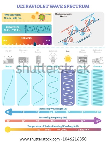 Electromagnetic Waves: Ultraviolet Wave Spectrum. Vector illustration diagram with wavelength, frequency, harmfulness and wave structure. Science educational information. Info poster.