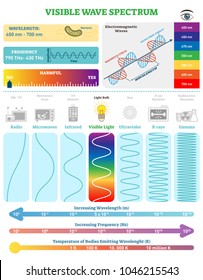 Electromagnetic Waves: Visible Wave Spectrum. Vector illustration diagram with wavelength, frequency, harmfulness and wave structure. Science educational information. Info poster.