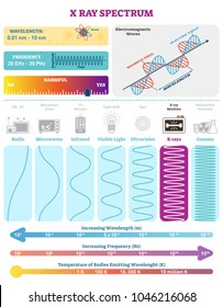 Electromagnetic Waves: X-ray Wave Spectrum. Vector illustration diagram with wavelength, frequency, harmfulness and wave structure. Science educational information. Info poster.