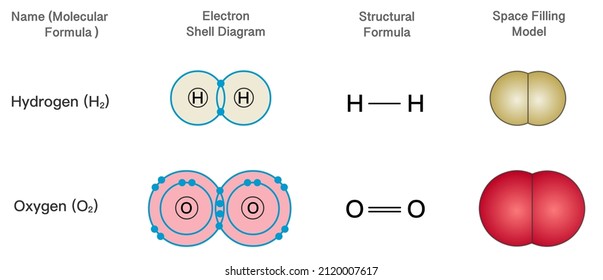 Electron shell diagram, space filling model, molecular formula symbols, structural formula. Examples Hydrogen H2, Oxygen O2. Elements, atom arrangement structure. Colored chemical illustration vector