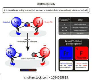 Electronegativity infographic diagram with example of sodium chloride showing how chlorine atom pull electron table related to bond forming due to electronegativity difference for chemistry education