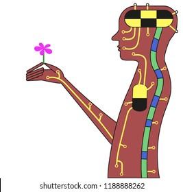An electronic man holds a living flower in his hands.  Vector illustration.