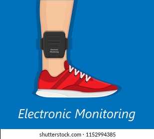 Electronic Monitoring EM Tagging System Tag Territory Offences  Perpetrator